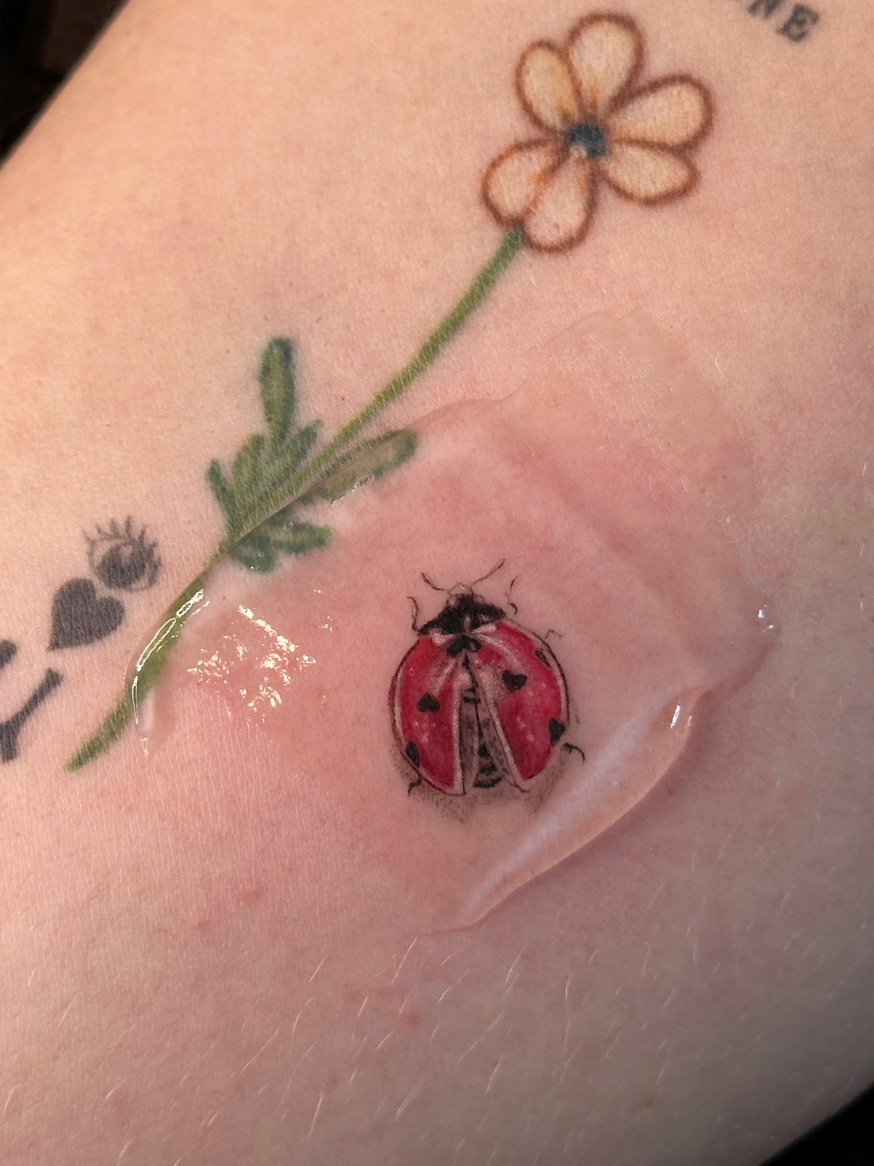 Fine Line Tattoo Course