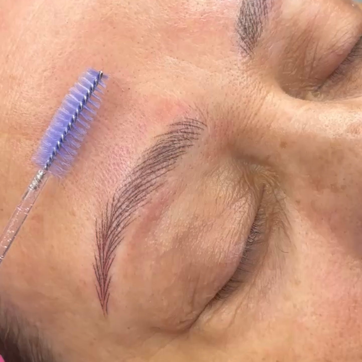 NanoBrow Online Course | Full Step-by-Step Training